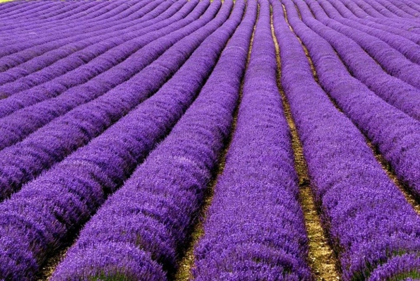 20 places on the planet where nature has spared no colors 20 places on the planet where nature has spared no colors