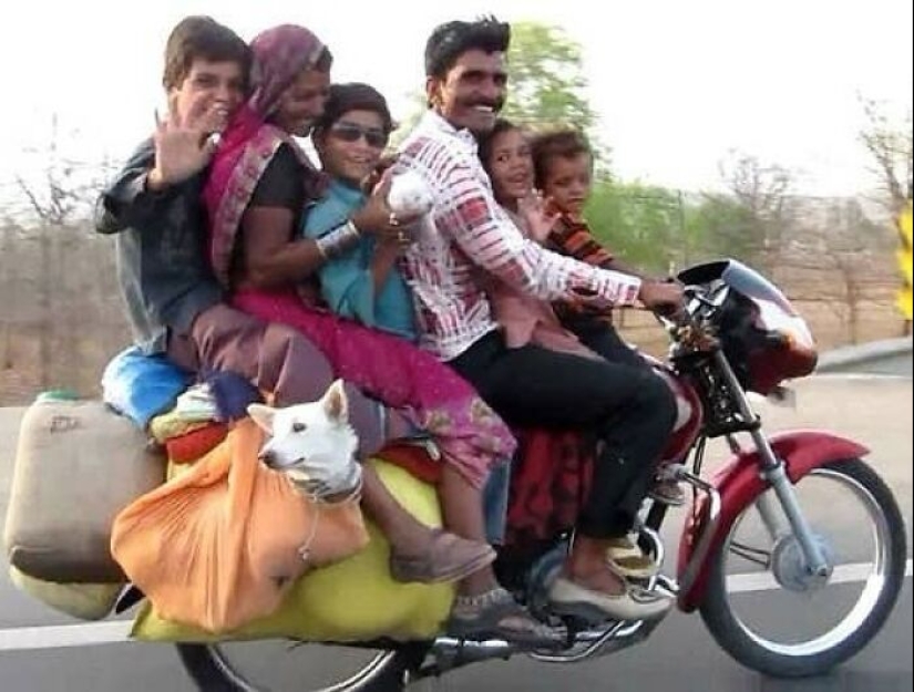 20 Random, Funny, And Unhinged Images That Show Off The Bizarre Side Of India