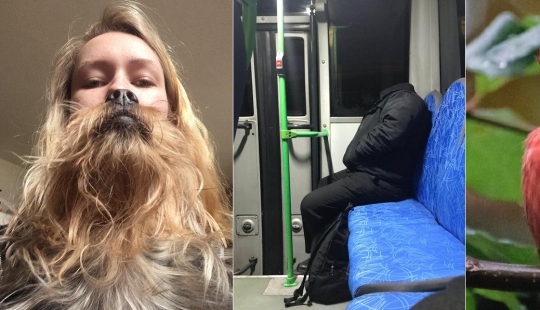 20 strange photos that are easy to break your eyes about 20 strange photos that are easy to break your eyes about