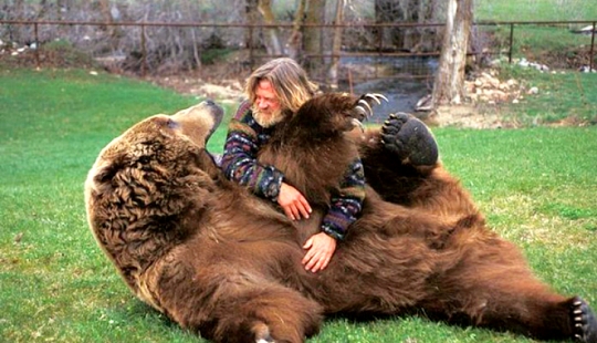 20 vientres que deben rascarse de inmediato