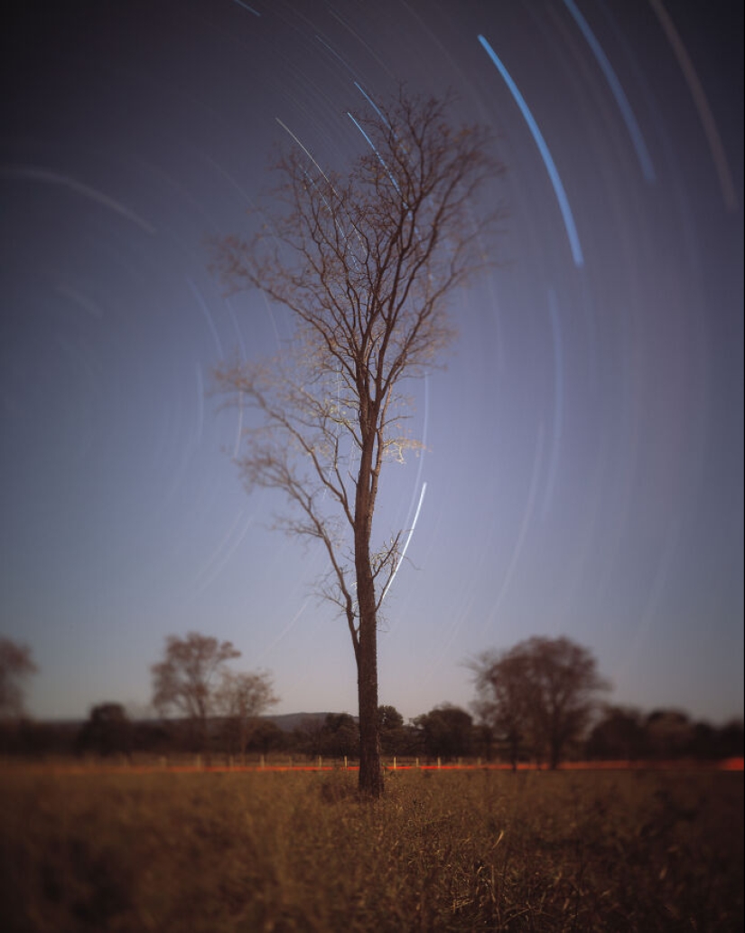 2023 IPA Winners: Exploring The Best In Analog Photography 2023 IPA Winners: Exploring The Best In Analog Photography