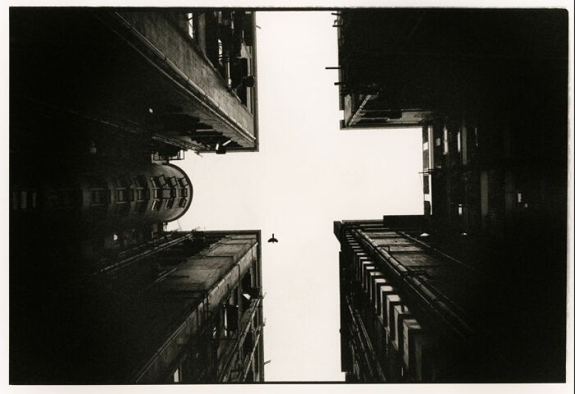 2023 IPA Winners: Exploring The Best In Analog Photography 2023 IPA Winners: Exploring The Best In Analog Photography