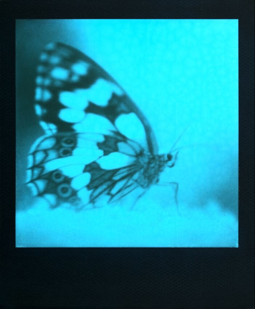 2023 IPA Winners: Exploring The Best In Analog Photography 2023 IPA Winners: Exploring The Best In Analog Photography