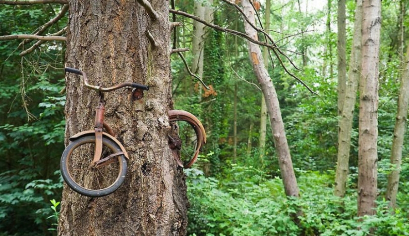21 ejemplos cuando la naturaleza derrotó a la civilización 21 ejemplos cuando la naturaleza derrotó a la civilización