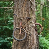 21 ejemplos cuando la naturaleza derrotó a la civilización