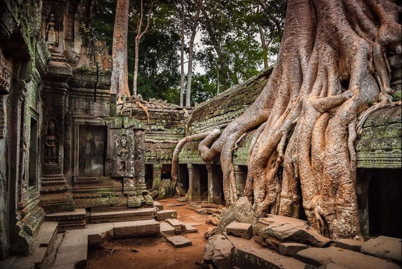 21 ejemplos cuando la naturaleza derrotó a la civilización 21 ejemplos cuando la naturaleza derrotó a la civilización