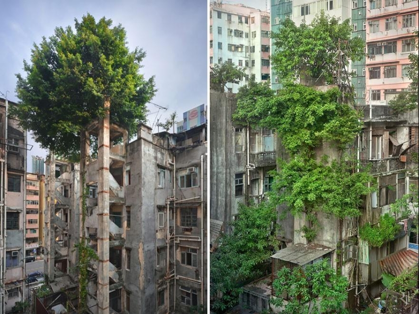 21 ejemplos cuando la naturaleza derrotó a la civilización 21 ejemplos cuando la naturaleza derrotó a la civilización