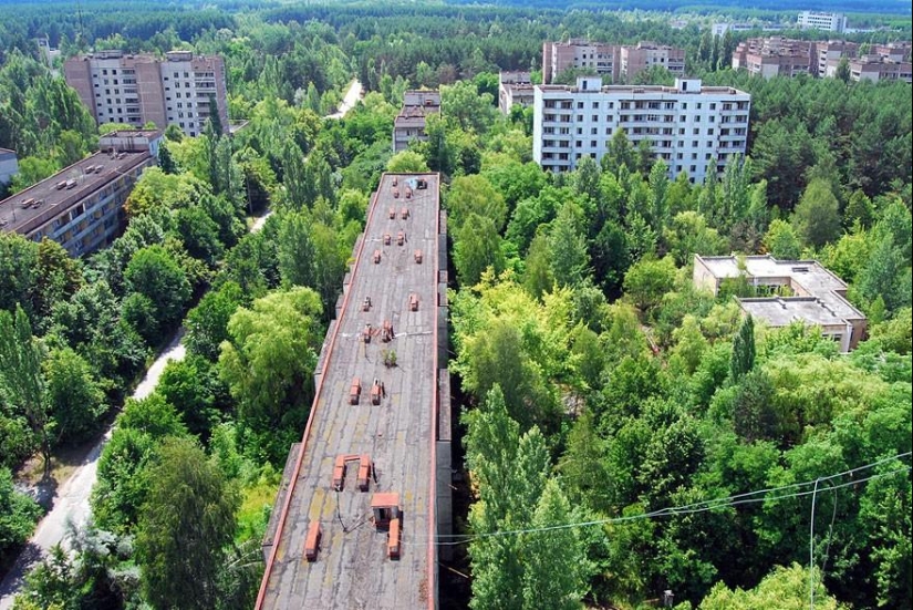 21 examples when nature defeated civilization 21 examples when nature defeated civilization