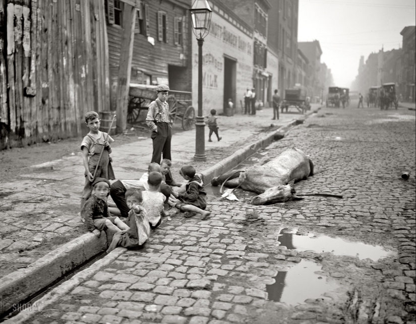 22 archival photographs that may surprise you 22 archival photographs that may surprise you