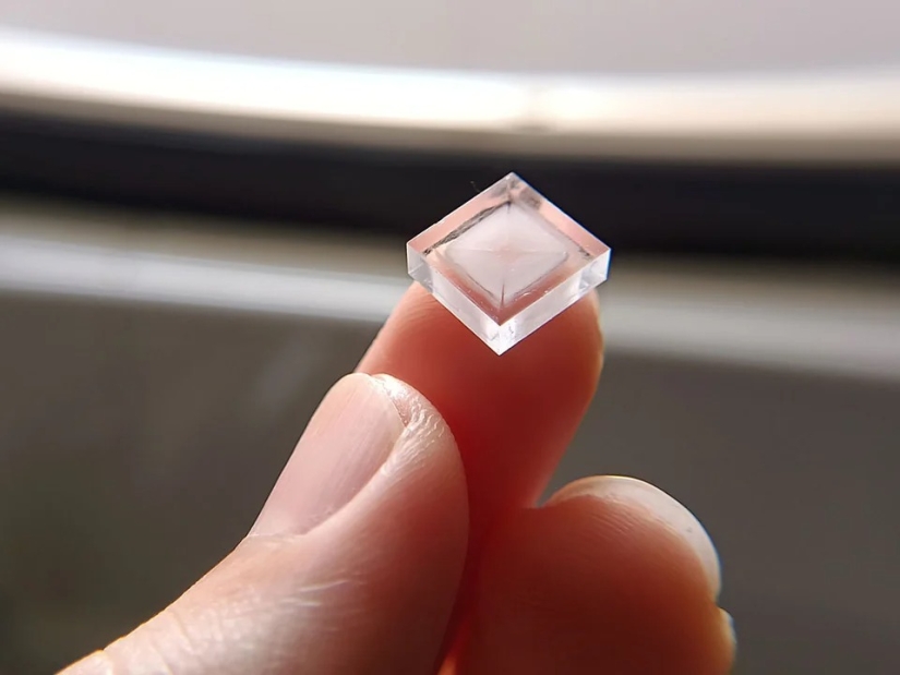 22 casos en los que la naturaleza sorprendió de la manera más inesperada