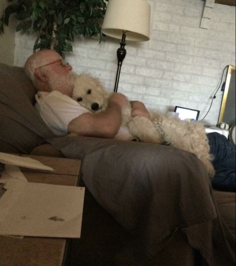 22 charming photos with animals that will cheer you up