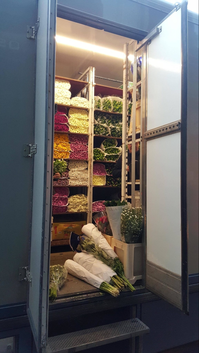 22 cognitivo fotos en el contenido interno de las cosas familiares