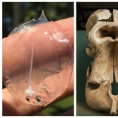 22 curiosities from all over the world that are definitely worth seeing 22 curiosities from all over the world that are definitely worth seeing