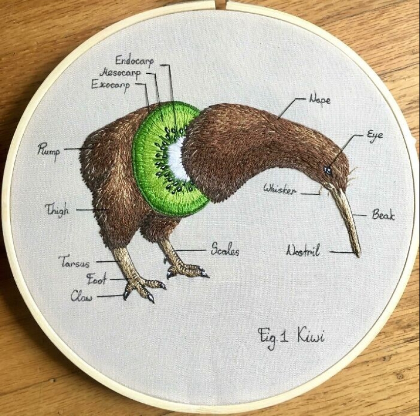 22 ejemplos de bordados impresionantes, diversos y con mucho talento