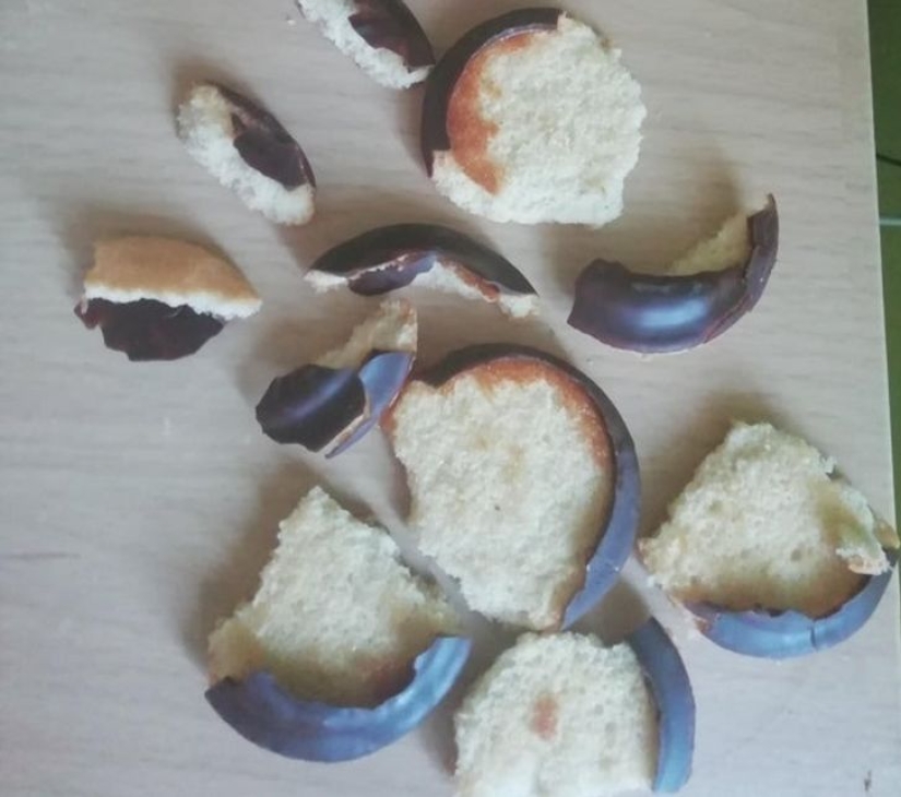 22 foto evidencia de que nadie es inmune a los malos días