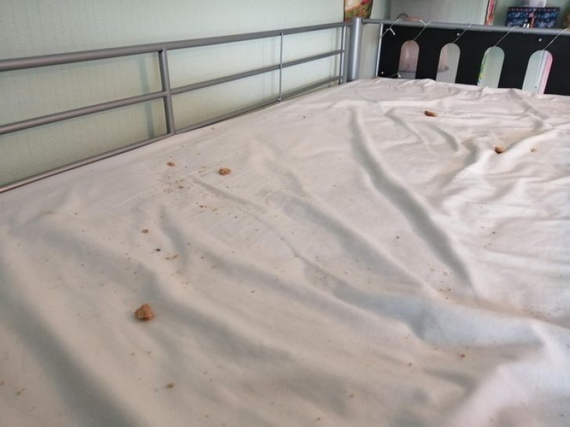 22 foto evidencia de que nadie es inmune a los malos días