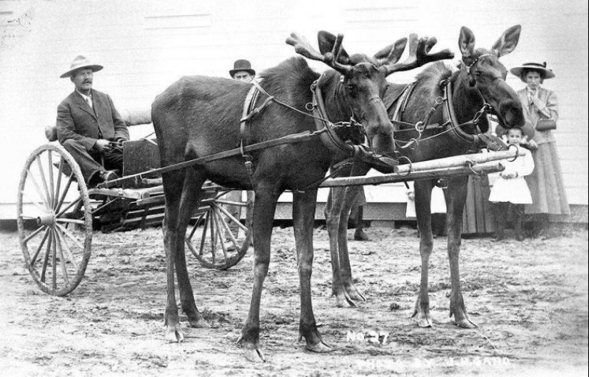 22 fotografías de archivo que pueden sorprenderte 22 fotografías de archivo que pueden sorprenderte