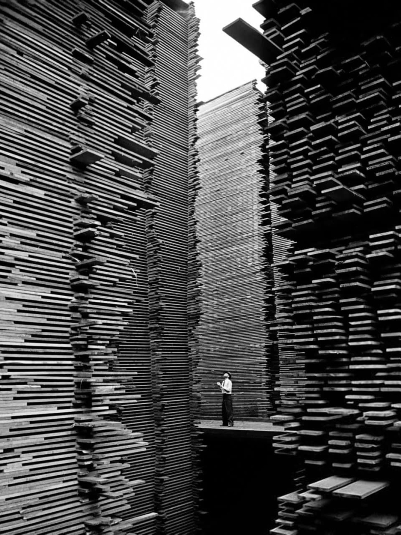 22 fotografías de archivo que pueden sorprenderte 22 fotografías de archivo que pueden sorprenderte