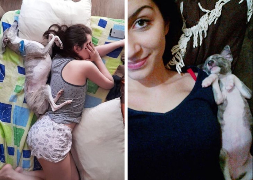 22 fotos de animales que no han oído nada sobre el"espacio personal" 22 fotos de animales que no han oído nada sobre el"espacio personal"