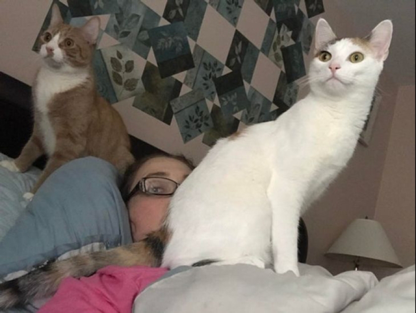 22 fotos de animales que no han oído nada sobre el"espacio personal" 22 fotos de animales que no han oído nada sobre el"espacio personal"