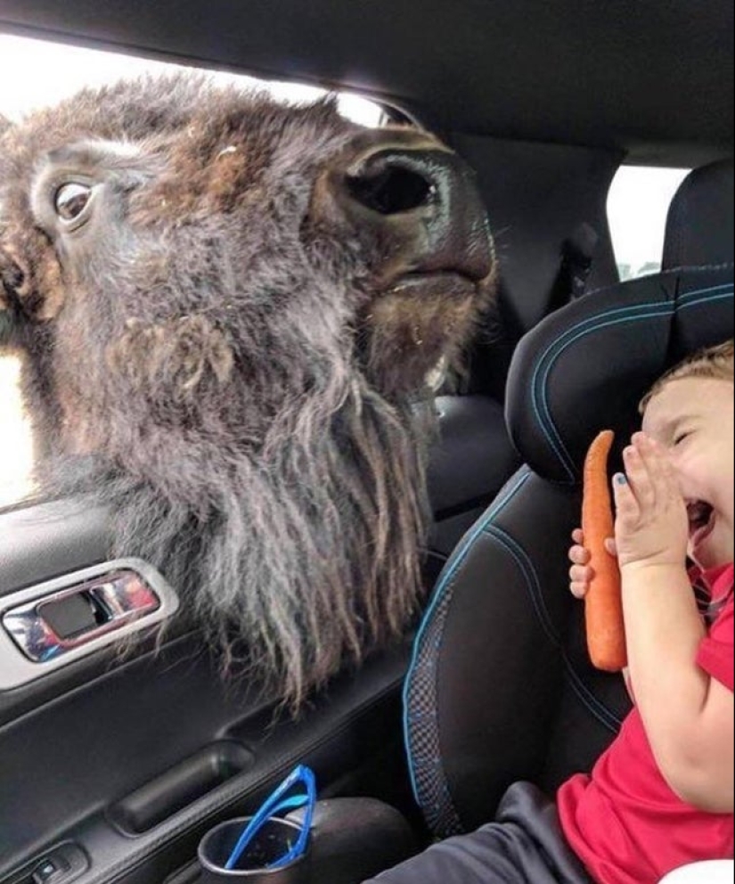 22 fotos divertidas ilusiones ópticas que se debe confundir cualquier 22 fotos divertidas ilusiones ópticas que se debe confundir cualquier