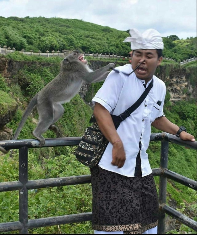 22 fotos divertidas ilusiones ópticas que se debe confundir cualquier 22 fotos divertidas ilusiones ópticas que se debe confundir cualquier
