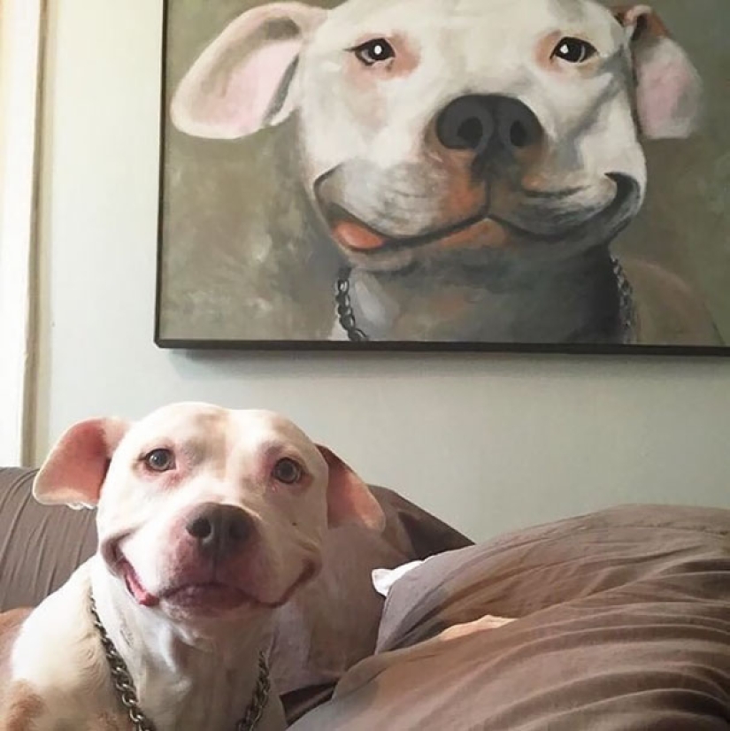 22 fotos donde no se puede saber dónde está la vida y dónde está el arte