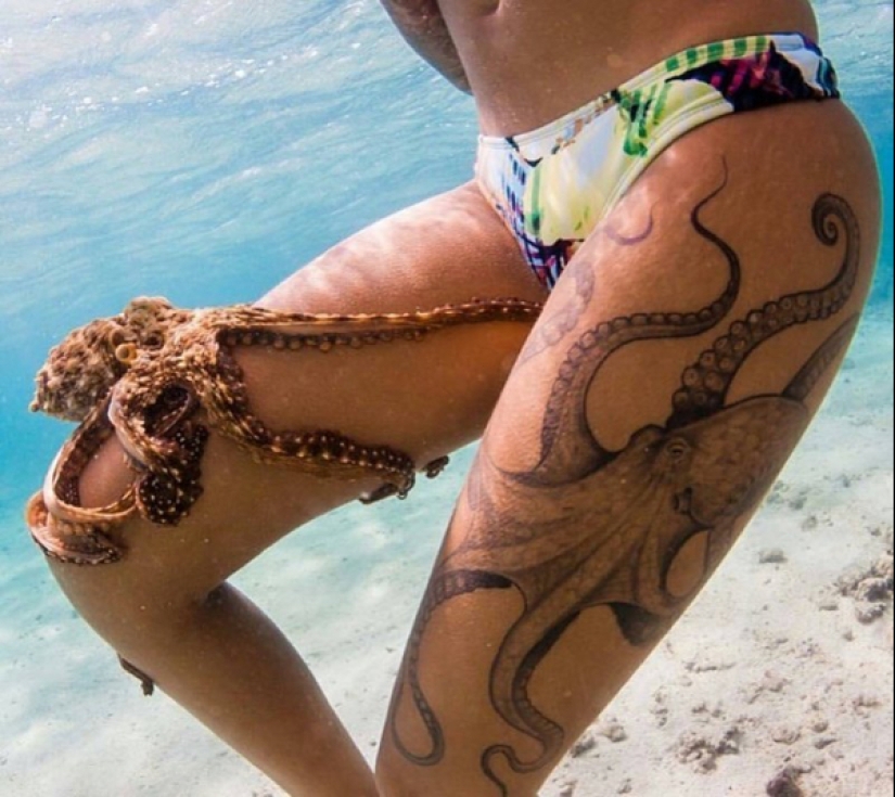 22 fotos donde no se puede saber dónde está la vida y dónde está el arte