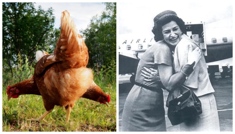 22 fotos en las que suceden cosas locas