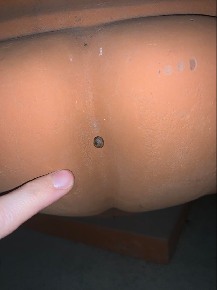 22 fotos en las que suceden cosas locas