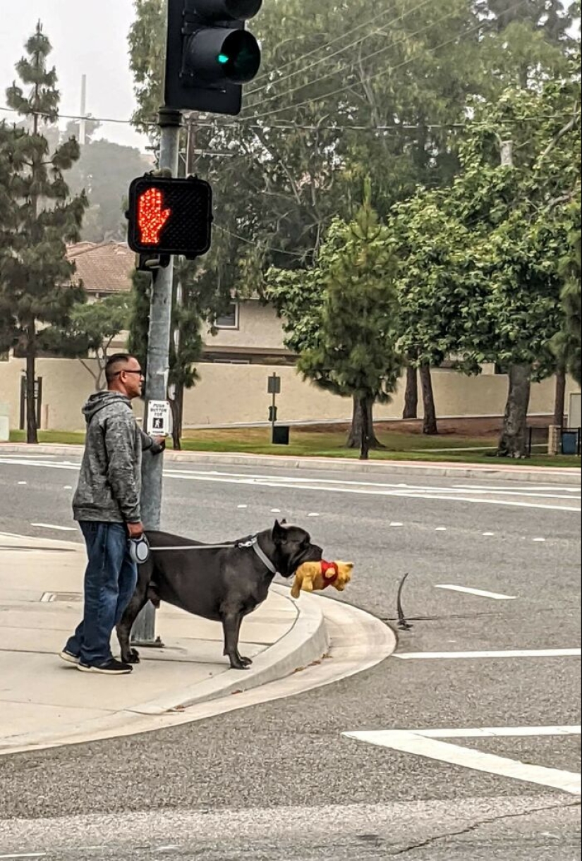 22 fotos encantadoras con animales que te alegrarán