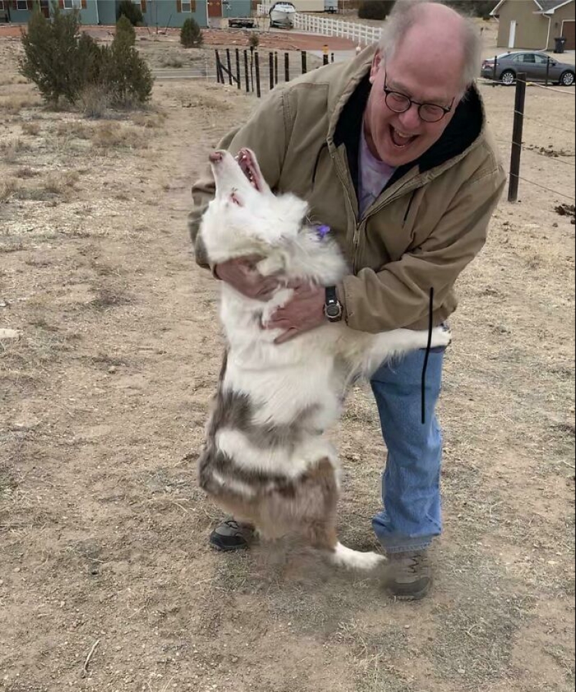 22 fotos encantadoras con animales que te alegrarán