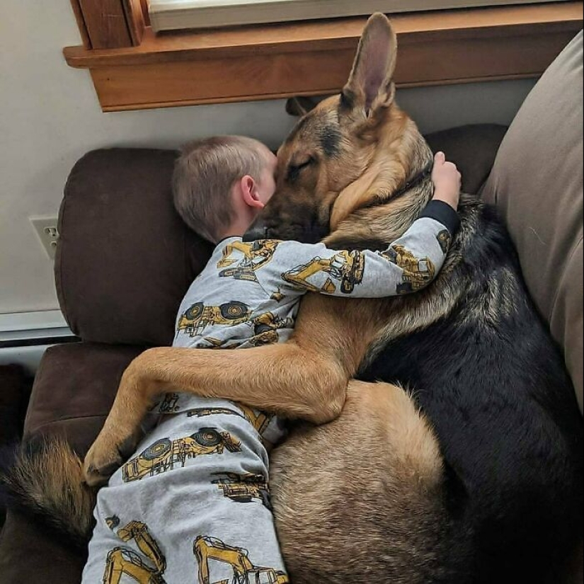 22 fotos encantadoras con animales que te alegrarán