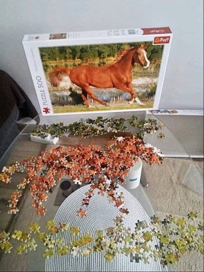 22 funny and at the same time sad photos from the series "Expectation and Reality"