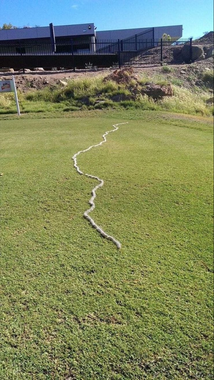 22 good reasons to never visit Australia