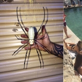 22 good reasons to never visit Australia 22 good reasons to never visit Australia