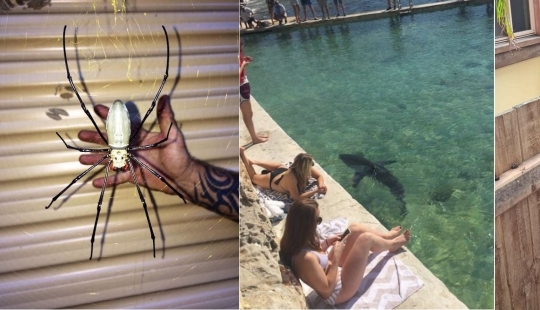 22 good reasons to never visit Australia