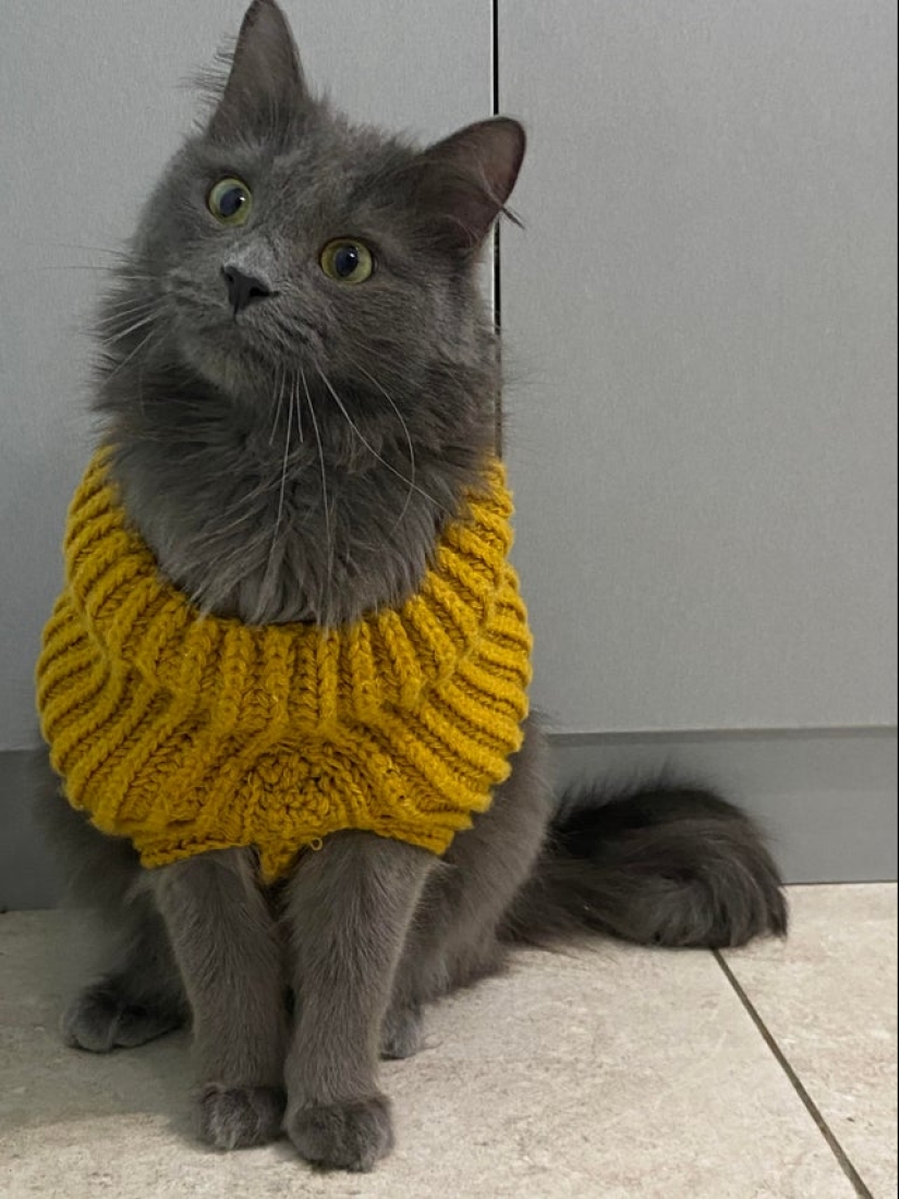 22 incredibly cute photos with animals that will brighten up even the darkest day 22 incredibly cute photos with animals that will brighten up even the darkest day