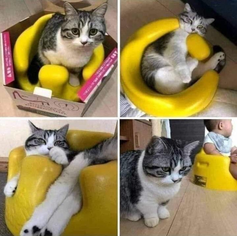 22 incredibly cute photos with animals that will brighten up even the darkest day 22 incredibly cute photos with animals that will brighten up even the darkest day