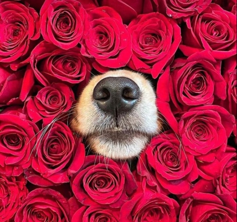 22 incredibly cute photos with animals that will brighten up even the darkest day 22 incredibly cute photos with animals that will brighten up even the darkest day