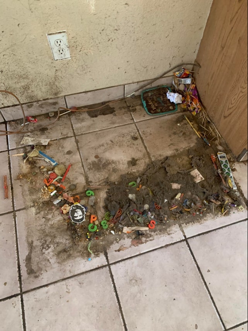 22 las situaciones más locas que enfrentan los inquilinos de apartamentos 22 las situaciones más locas que enfrentan los inquilinos de apartamentos