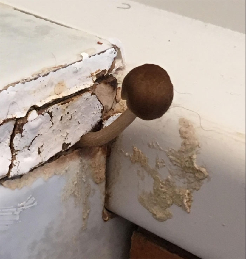 22 las situaciones más locas que enfrentan los inquilinos de apartamentos 22 las situaciones más locas que enfrentan los inquilinos de apartamentos