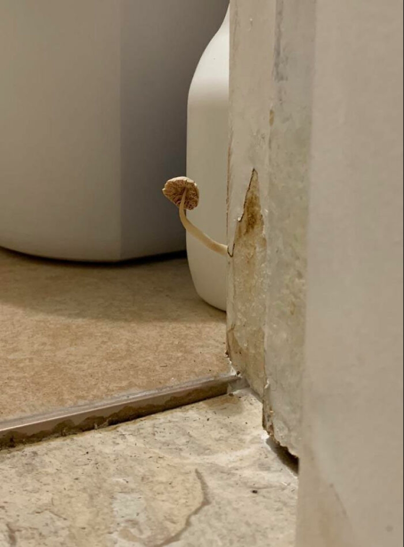 22 las situaciones más locas que enfrentan los inquilinos de apartamentos 22 las situaciones más locas que enfrentan los inquilinos de apartamentos