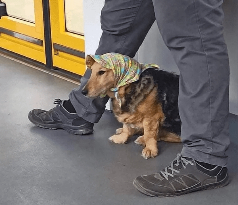 22 of the most colorful characters who managed to meet in the subway