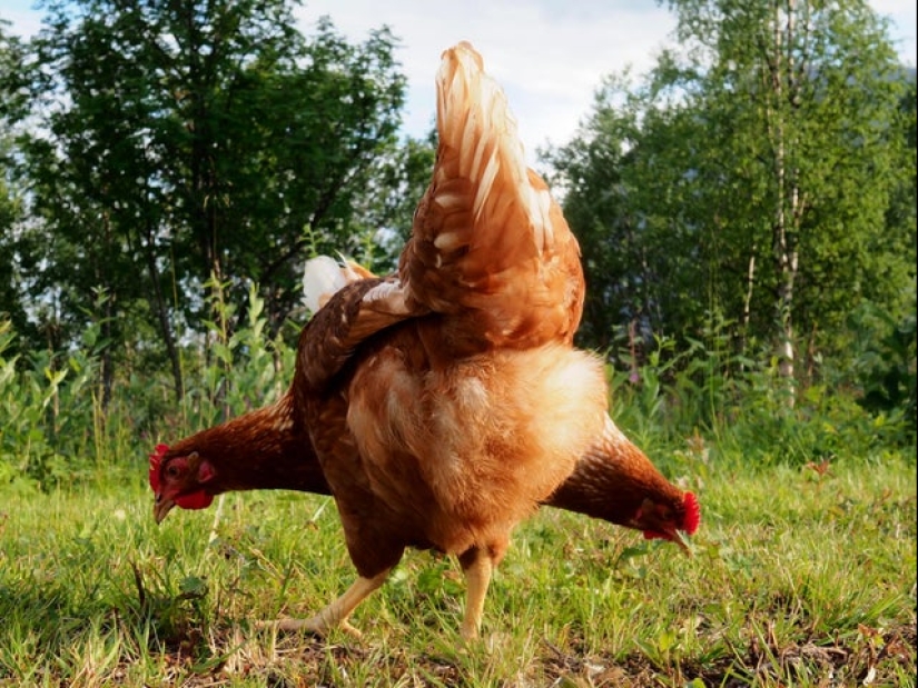 22 photos in which some crazy stuff is happening