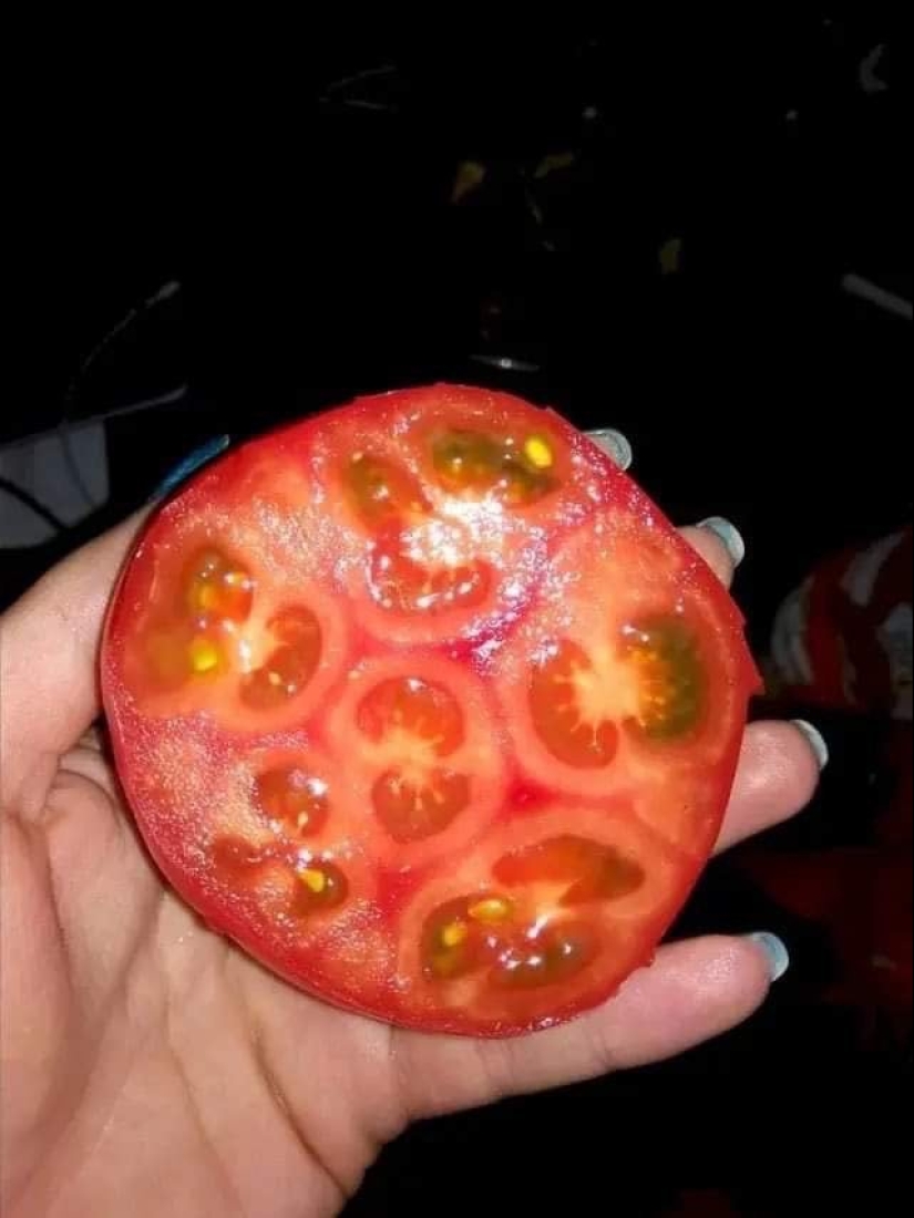 22 photos of amazing things that an ordinary person is unlikely to see live
