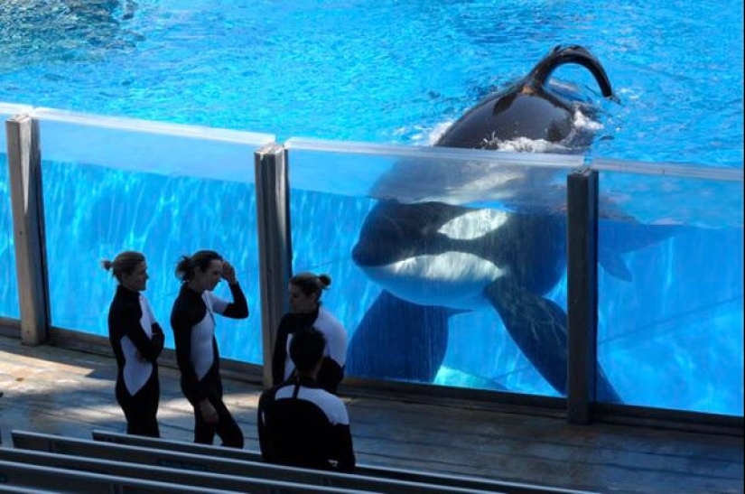 22 photos of amazing things that an ordinary person is unlikely to see live
