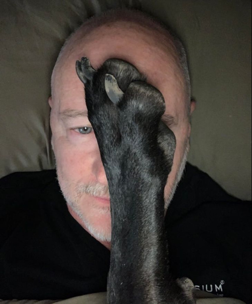 22 photos of animals who have not heard anything about "personal space" 22 photos of animals who have not heard anything about "personal space"