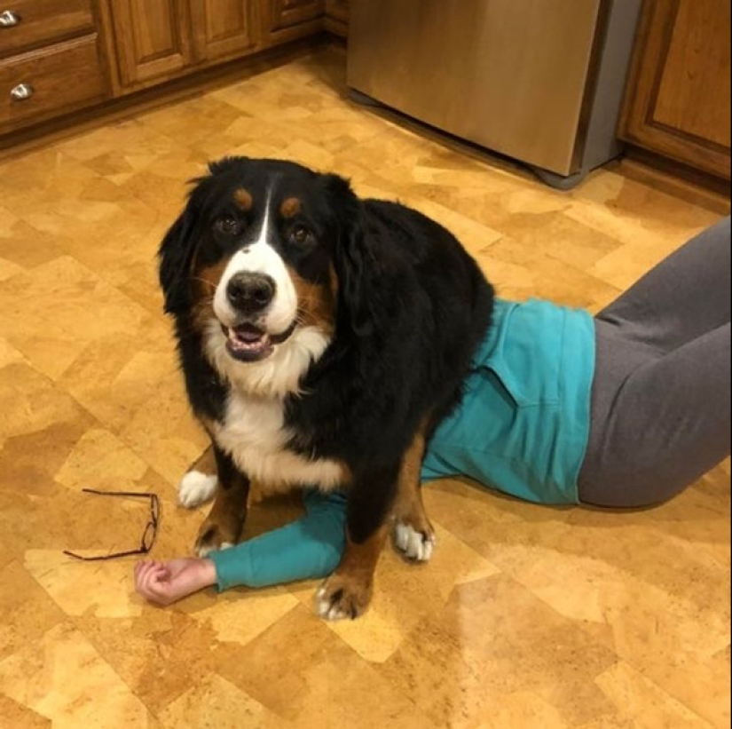 22 photos of animals who have not heard anything about "personal space" 22 photos of animals who have not heard anything about "personal space"