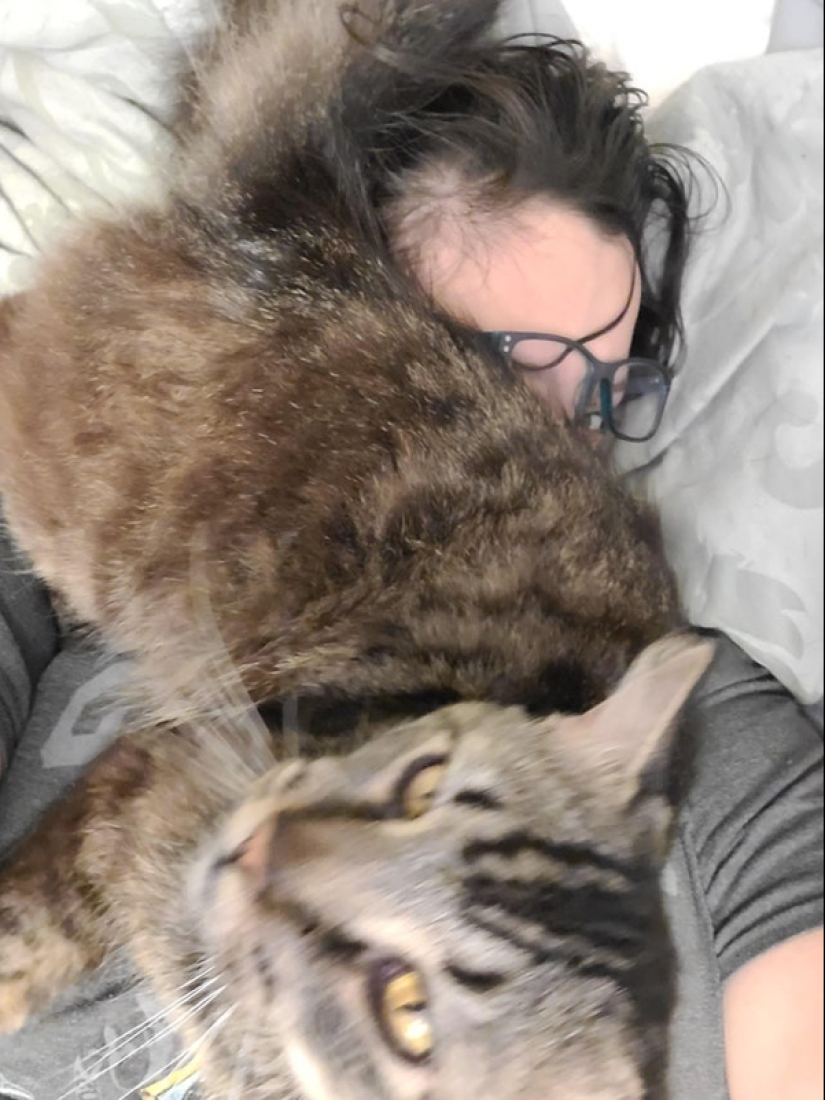 22 photos of animals who have not heard anything about "personal space" 22 photos of animals who have not heard anything about "personal space"